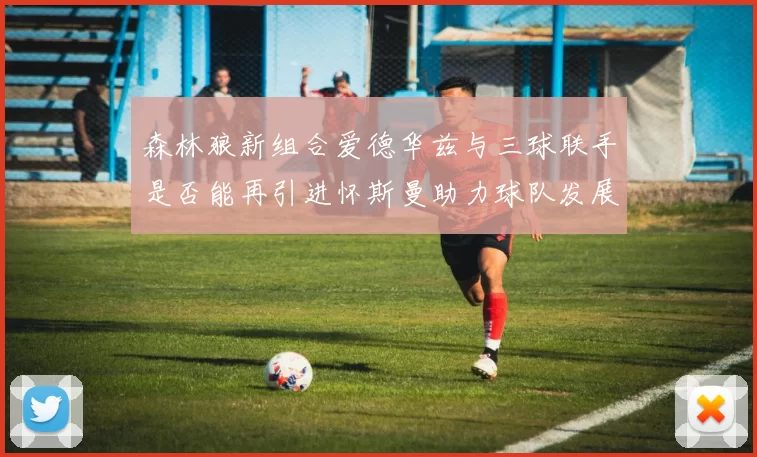 森林狼新组合爱德华兹与三球联手是否能再引进怀斯曼助力球队发展