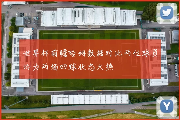世界杯前瞻哈姆数据对比两位球员均为两场四球状态火热