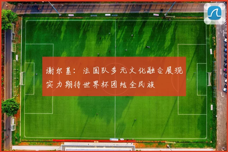 谢尔基：法国队多元文化融合展现实力期待世界杯团结全民族