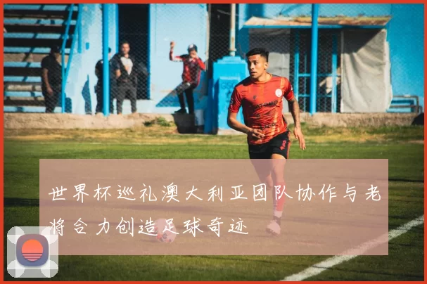 世界杯巡礼澳大利亚团队协作与老将合力创造足球奇迹