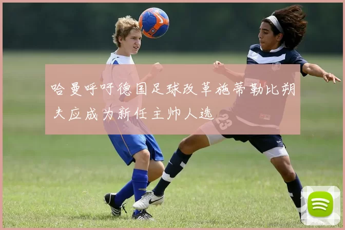 哈曼呼吁德国足球改革施蒂勒比朔夫应成为新任主帅人选